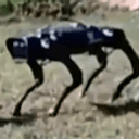 The Most Hated Robot Dog