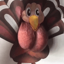 Teddy The Turkey