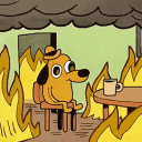 This is fine