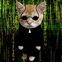 Matrix Cat