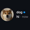 Dog in DMs