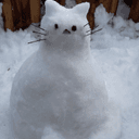 snowcat