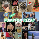 PumpfunRecap