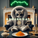 Boujee Catz