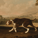 Rare Dog Painting Auctioned