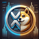 XDOGE