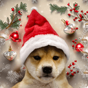 DogWifSantaHat