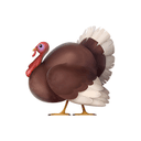 🦃