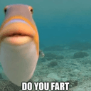 do girls fart