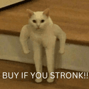 STRONK CAT 