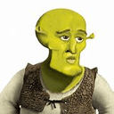 Handsome Shrek 