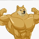 DOGE 💪🏻