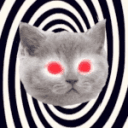 HYPNO KITTY 👀