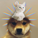 Dogwif....cat?