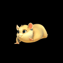 JUST A CHILL HAMSTER