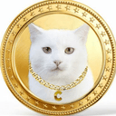 CateCOIN