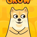 GROWING SHIBA