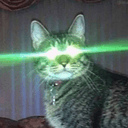 catwitlaser