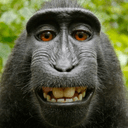 Selfie Monkey Naruto