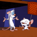 PINKY AND THE BRAIN